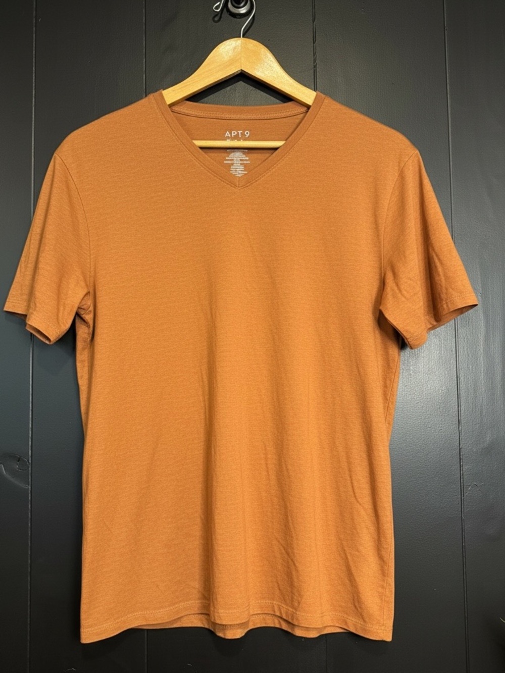 Men's Burnt Orange V-Neck T-Shirt